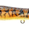 Nomad Design Chug Norris Freshwater/Inshore Popper